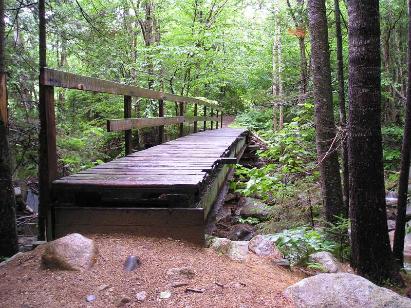 PemiBridgeHike (26).JPG - The trail continued on with another footbridge over a stream.